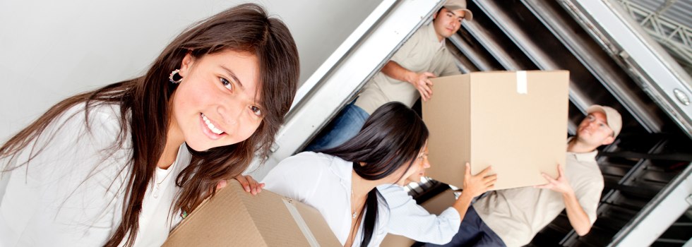 Professional Removalists Cowes